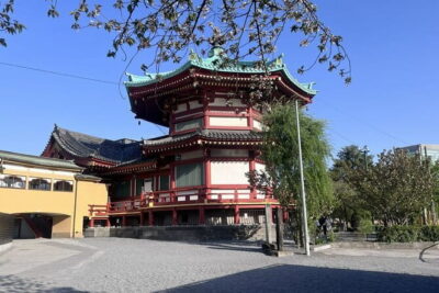 Ueno and Yanaka Culture Art Walking Tour in Old Tokyo - Stop 1 at the National Museum of Nature and Science: scale that hits fast