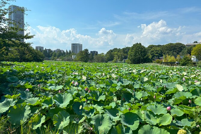 Ueno Park and Ameyoko Street Food Market Half Day Walking Tour - Group size and pacing: what the 3 hours feels like