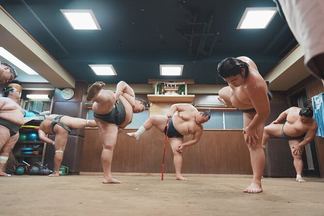 Unique Afternoon Live Sumo training tour in Tokyo - Key highlights you’ll care about