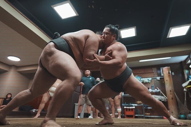 Unique Afternoon Live Sumo training tour in Tokyo - Nakamura-beya Sumo Stable: what you’re really seeing