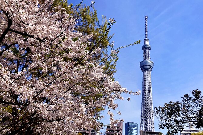 Unlock Hidden Tokyo: Private Custom Tour with a Local guide - Shibuya Crossing: 2,500 people per light change, framed properly