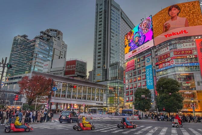 Walk Tokyo's Streets with Tokyo Midtown Tour - Pace, Comfort, and Realistic Night Expectations
