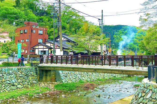Walking Tour Mount Takao : Nature and Tradition in Tokyo - Stop 1: Takao 599 Museum and Nature Centre (Your Quick Wildlife Warm-Up)