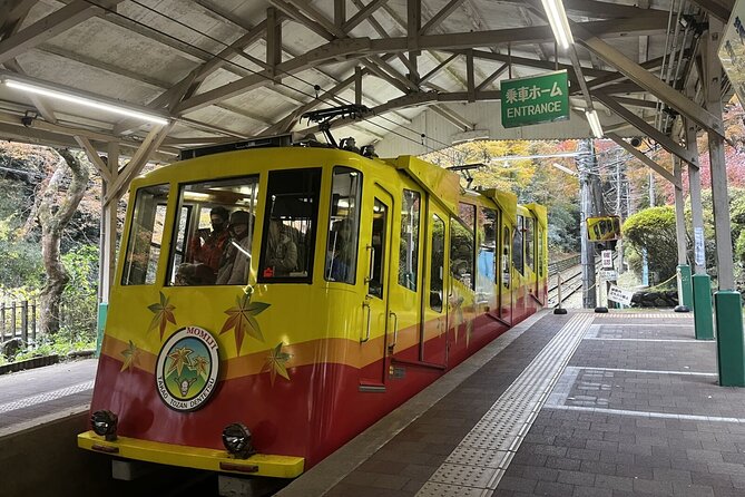 Walking Tour Mount Takao : Nature and Tradition in Tokyo - Stop 2: Monkey Park, Wild Grass Garden, and the Snow Monkey Moment