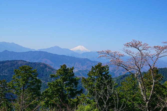 Walking Tour Mount Takao : Nature and Tradition in Tokyo - Stop 3: Takaosan Yakuo-in Yuki-ji Temple and Its Nara-Period Roots