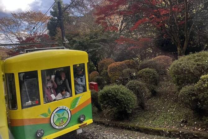 Walking Tour Mount Takao : Nature and Tradition in Tokyo - Cable Car and Timing: How the Day Avoids a Total Foot Burn