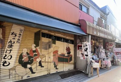 Walking Tour: Yanaka,Nezu& Sendagi: Tea Ceremony & Old Tokyo - Price and What You Get for $135