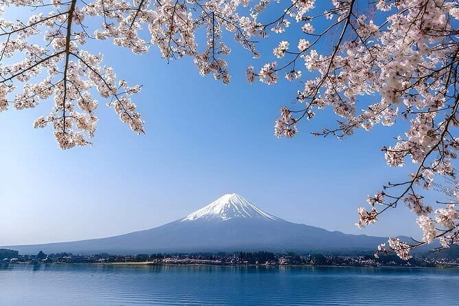 Wonderful Peaks & Peace: Mt. Fuji, Fuji Stupa & Hakone Tour - Key Things I’d Pay Attention To