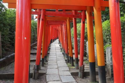 Yanaka District: Historical Walking Tour in Tokyo's Old Town - Nezu Station to Nezu Shrine: the photo moment with meaning