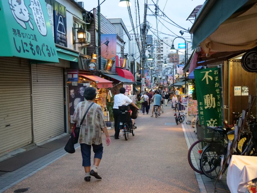 Yanaka District: Historical Walking Tour in Tokyo's Old Town - The local cafe stop: rest, tea-sweet time, and lucky cat painting